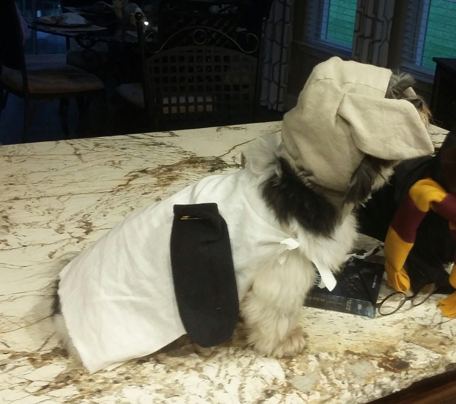 Harry Potter Dobby Harry Potter Dobby Dog Costume Dobby Dog