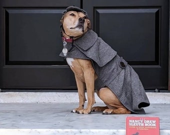 Costume da cane Sherlock Holmes, costume da cane detective, costume da cane, costume da cane di Halloween