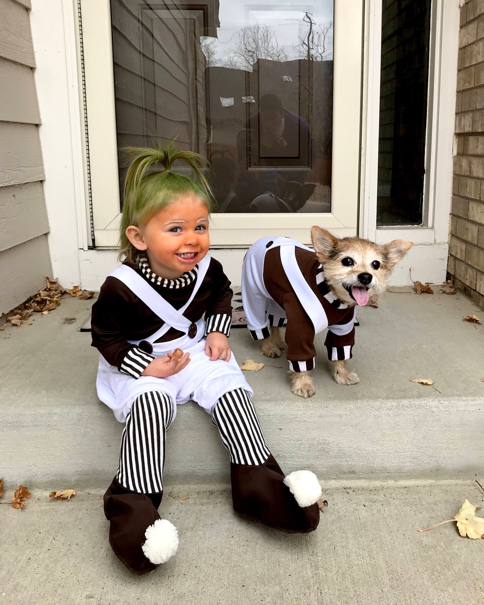 Oompaloompa Dog Costume Halloween Dog Costume Charlie & the Etsy