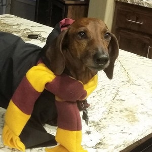 Wizard Dog Costume: Hooded Cloak & Fleece House Scarf