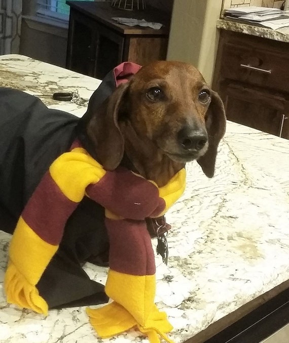 Wizard cloak dog costume, Wizard dog cloak, Wizard dog robe, Wizard house scarves for dogs, Halloween dog costume, Costume for dogs