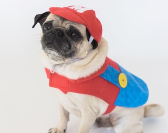 Mario dog costume,  mario kart costume, Halloween dog costume, costume for a dog