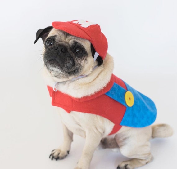 Mario dog costume,  mario kart costume, Halloween dog costume, costume for a dog