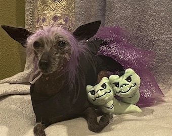 Ursula dog costume, Octopus dog costume, Evil Queen dog costume, Halloween dog costume, Girl dog outfit,  Fancy dog dress,