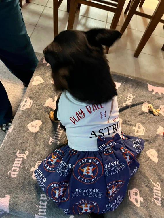 MLB outfit for dogs, Baseball dog dress, Dog dress