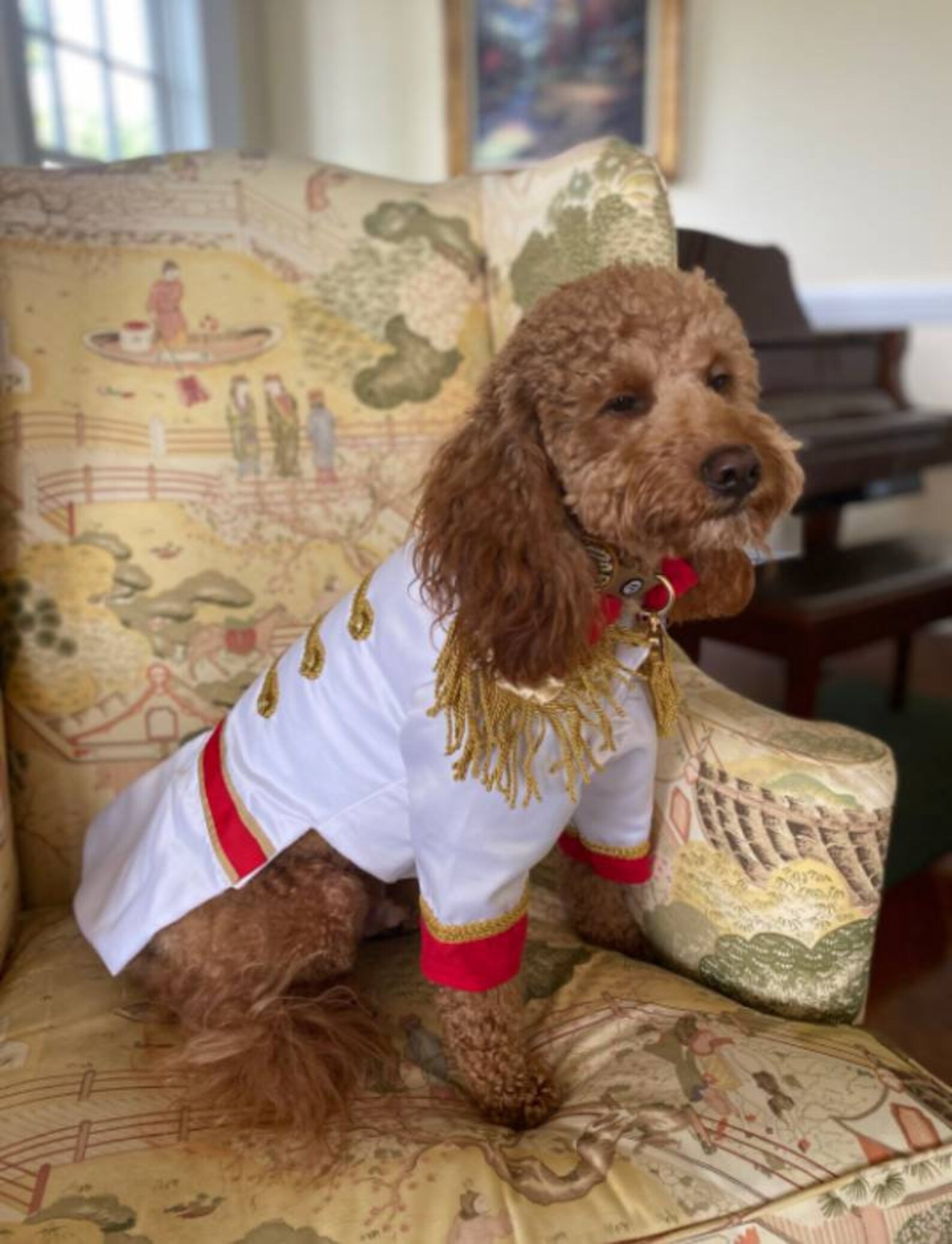 Prince Charming Dog Costume Prince Charming Dog Outfit Etsy