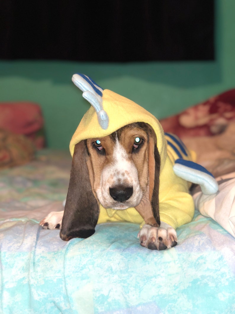 Flounder Little Mermaid Flounder Dog Costume Little Mermaid Etsy