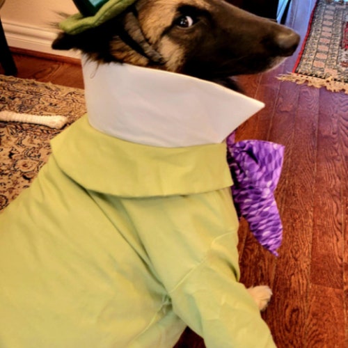 Mad Hatter Dog Costume Alice in Wonderland Halloween Dog Etsy