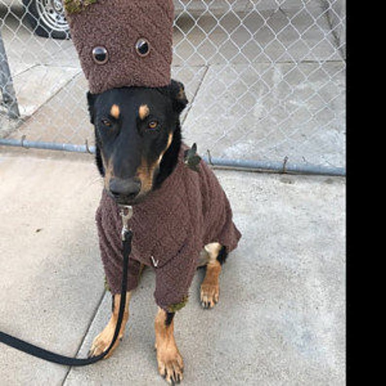 Groot Guardian of the Galazy Groot Dog Costume Halloween Etsy
