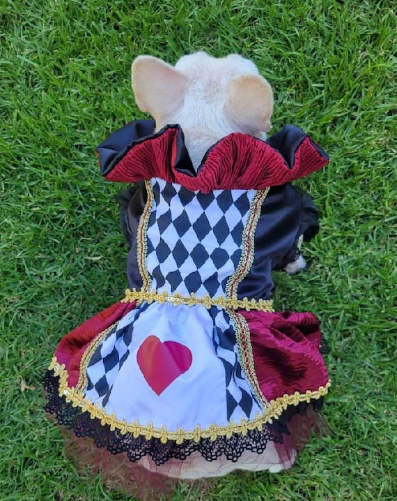 Queen of Hearts dog costume, Inspire by Alice in Wonderland, Halloween dog costume, fancy dog dress