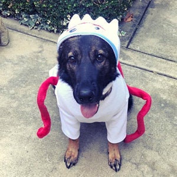 Forky dog costume, Toy story dog costume, Toy Story Forky costume, Halloween dog costume