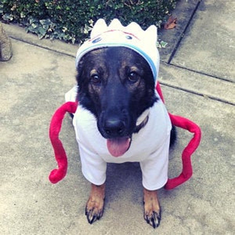 toy story dog