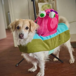 May include: A small dog wearing a colorful snail costume. The costume features a pink shell with a large, googly eye design and a blue and green striped body. The dog has light brown fur and is standing on a wooden floor.