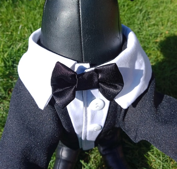 Tuxedo dog jacket, Wedding dog jacket, Ringbearer dog jacket, Dog Tail jacket, Dog jacket