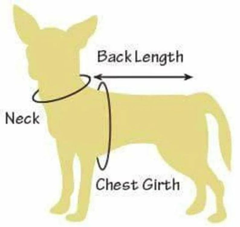 Pu&ograve; includere: Diagramma che mostra come misurare un cane per un'imbracatura o un abbigliamento. Il diagramma mostra una silhouette gialla di un cane con linee che indicano dove misurare il collo, la lunghezza della schiena e la circonferenza del torace.