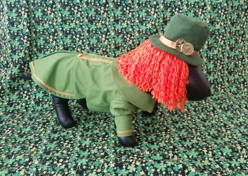 dog costume st patrick day