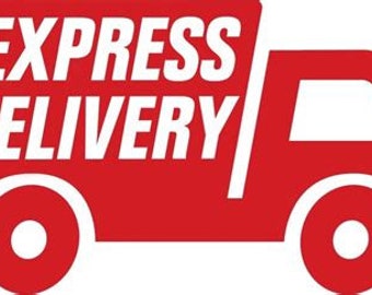 Express delivery to Usa / Canada/ Uk/ Eu