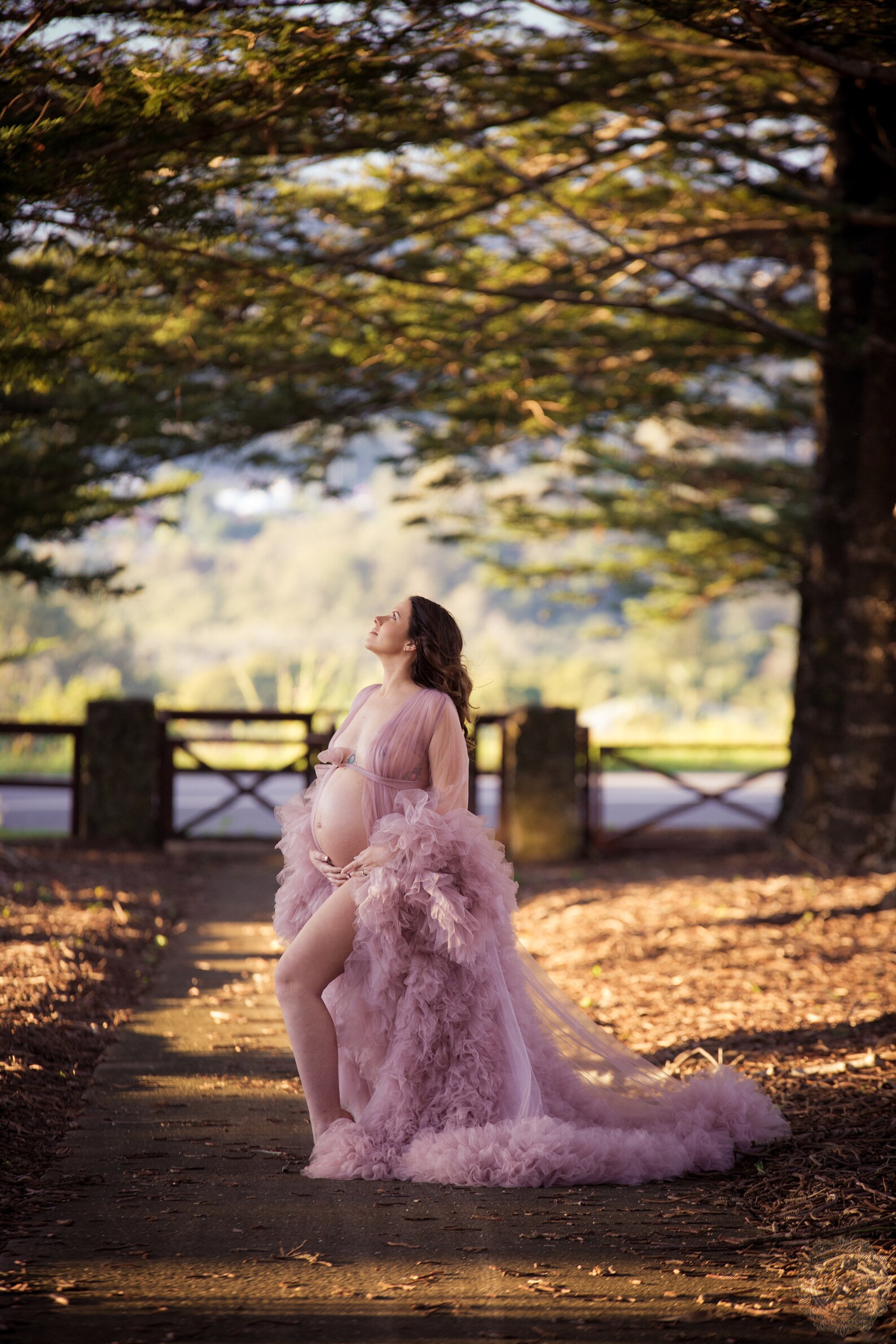 Ready to Ship Mauve Tulle Maternity Dress Photo Shoot Photo Etsy
