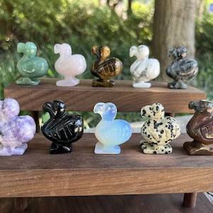 Pode incluir: Dez estatuetas de dodô esculpidas à mão em vários tipos de pedra polida. As estatuetas estão dispostas em duas filas numa prateleira de madeira. As pedras incluem ametista, obsidiana negra, jaspe dálmata, aventurina verde, olho de tigre e opala branca.