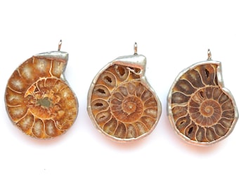 Pendentif fossile d'ammonite de nature, pendentif rare d'ammonite brun avec avec les bords électroplaqués argentés, trouvant des bijoux