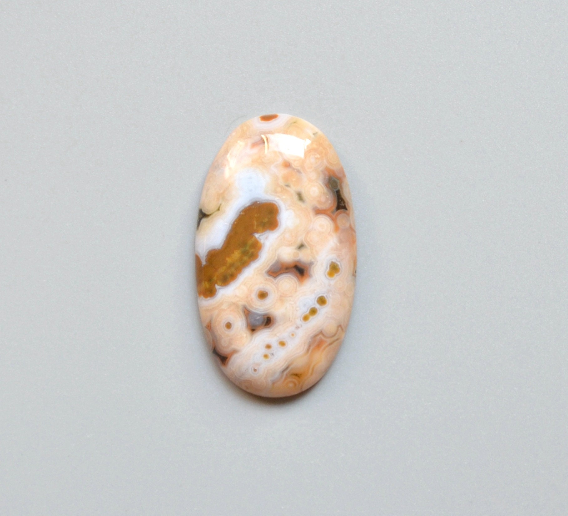A80 Nature Orbicular Ocean Jasper Cabochon , Sea Sediment A80 Nature Orbicular Ocean Jasper Cabochon , Sea Sediment