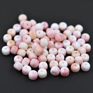 20 Pink Queen Conch Shell Beads, 5x6mm Spacer Beads