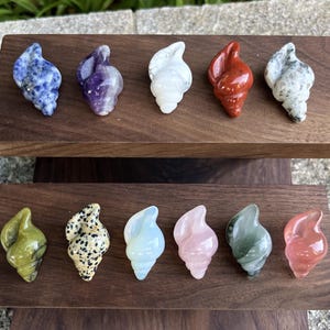 May include: A collection of nine carved gemstone seashells in various colors, including blue, purple, white, red, green, and pink. The shells are displayed on two wooden shelves, showcasing their unique textures and patterns.