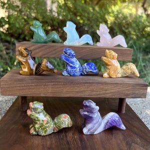 Puede incluir: Una colección de ocho figuritas de ardilla talladas a mano a partir de varios tipos de piedras preciosas pulidas. Las ardillas están dispuestas en un estante de madera, cada una con un color y un patrón diferentes.