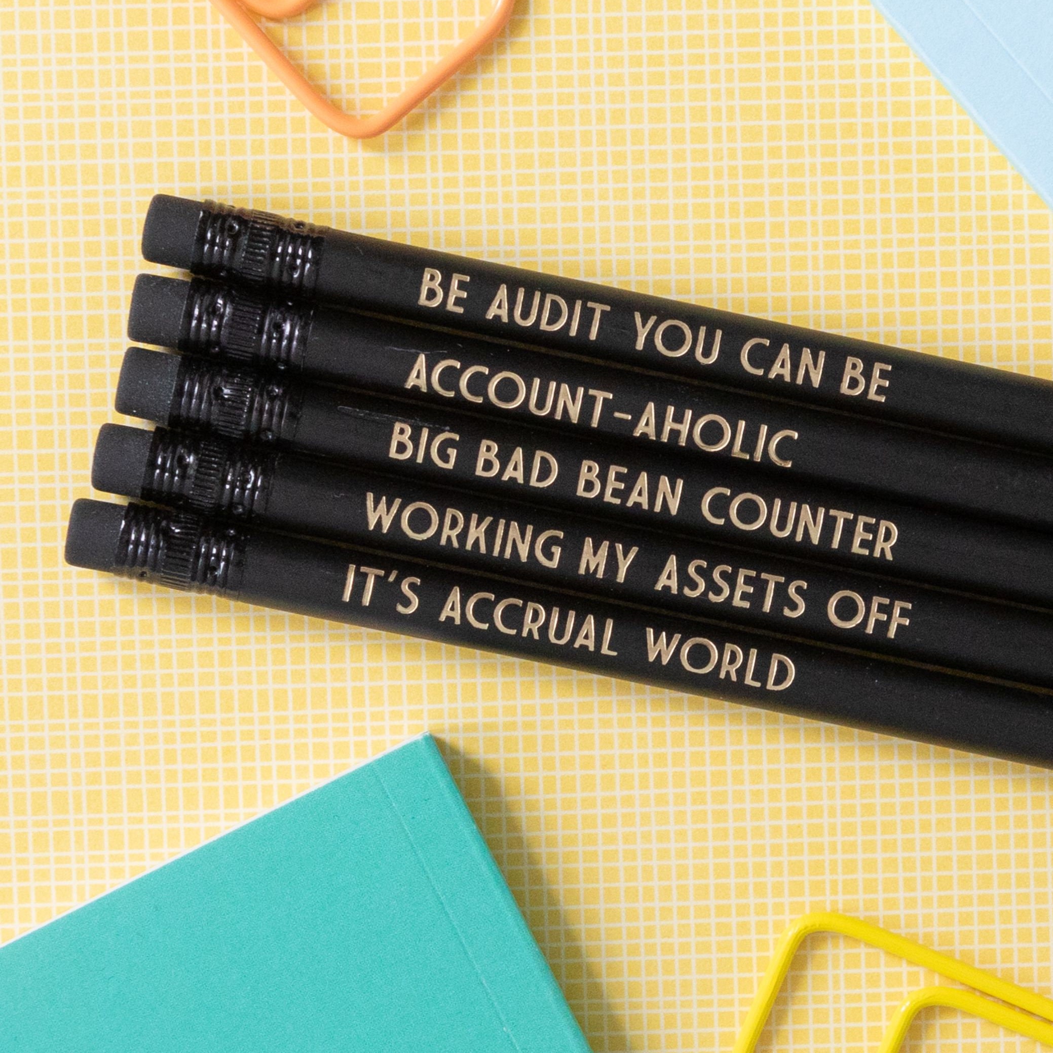 Accountant Letterbox Gift Set, Accounting Gift, Accountant Stationery, Accounting Gift, Graduation Gift, Pencil and Notepad bundle