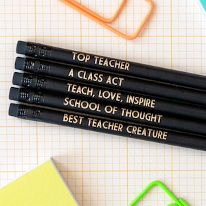 Teacher gift, Funny teacher gift, thank you teacher gift, thank you teacher, gift for teacher, funny gift for teacher, printed pencils image 1