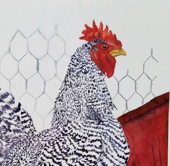 A Cock On A Walk Barred Rock Rooster 9 x 12 original watercolor painting chicken decor