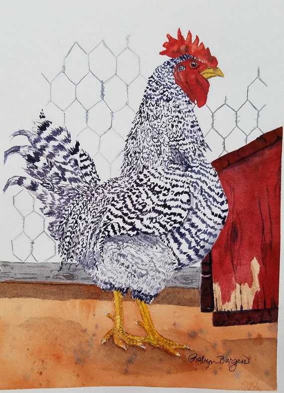 Download Barred Rock Rooster 9 X 12 Original Watercolor Painting Chicken Decor A Cock On A Walk Art Collectibles Painting Delage Com Br