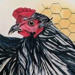 A Cock On A Walk Barred Rock Rooster 9 x 12 original watercolor painting chicken decor