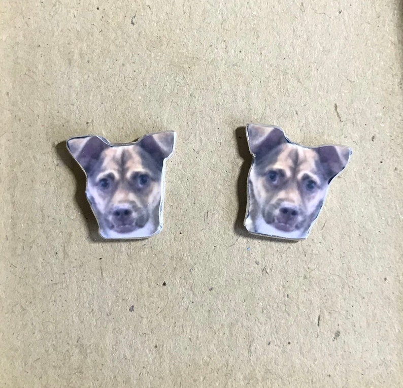 Custom Pet Stud Earrings  Animal Studs  Custom Animal Pet image 5