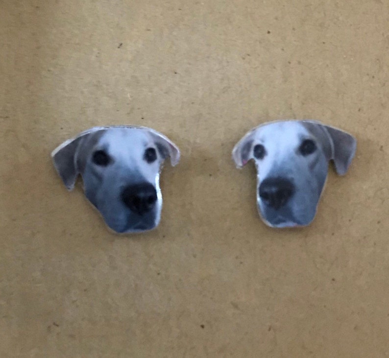 Custom Pet Stud Earrings  Animal Studs  Custom Animal Pet image 7
