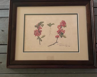 Tiffany & Co. "Tiffany Nature" Framed Botanical Print – Japanese Quince (May 1882)