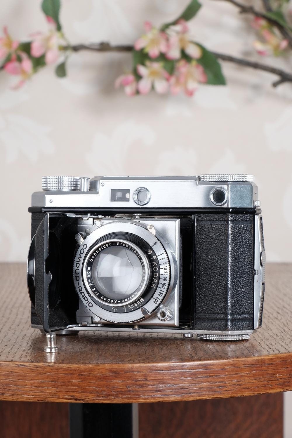 Kodak Ektar Lens - Etsy Kodak Ektar Lens - Etsy