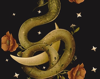 Snake Charming Book Snake Magic Serpentine Mythology