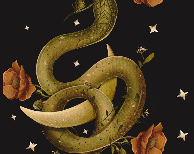 Snake Charming Book Snake Magic Serpentine Mythology