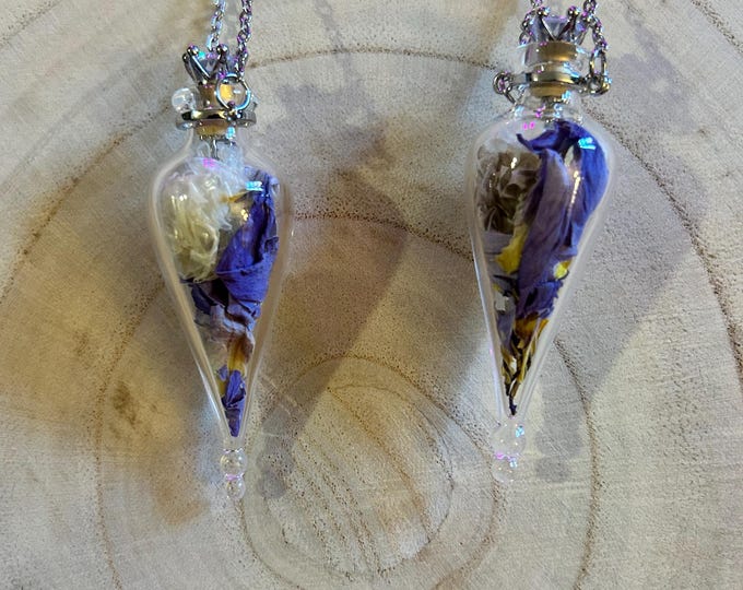 Shed Python Skin and Blue Lotus Flower Magickal Pendant