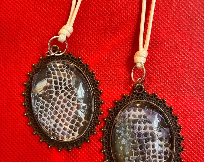 Boa Constrictor Shed Skin Necklace Eternal Coil