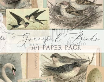 Graceful Birds Vintage Ephemera A4 Paper Pack - Junk Journal Printables (Digital Download)