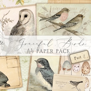 May include: A collage of vintage-style paper elements featuring bird illustrations. The design includes an owl, swallows, and other birds, with text that reads "Graceful Birds A4 Paper Pack" and "Part 2". The background has floral and antique paper textures.