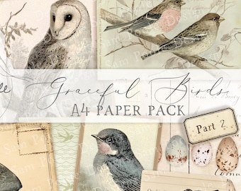 Parte 2: Paquete de papel A4 con motivos vintage de aves elegantes - Material imprimible para diario creativo (descarga digital)