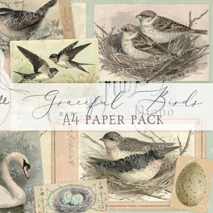 Graceful Birds Vintage Ephemera A4 Paper Pack - Junk Journal Printables (Digital Download)
