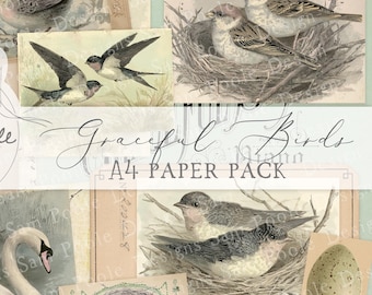 Graceful Birds Vintage Ephemera A4 Paper Pack - Junk Journal Printables (Digital Download)