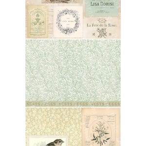 May include: A collage of vintage-style ephemera featuring birds, nests, and floral patterns. Includes sheet music, botanical illustrations, and the text "Graceful Dance" and "The Bird". The color palette is soft, with greens, creams, and beige.
