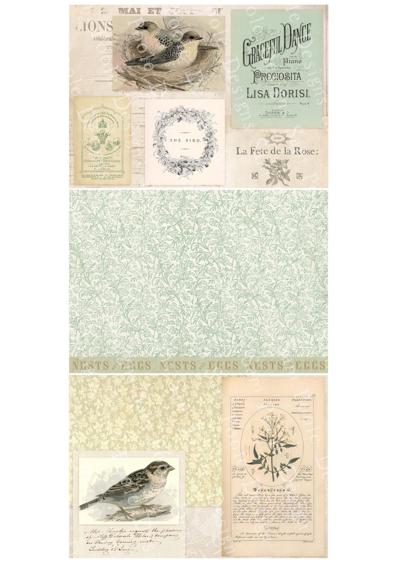 May include: A collage of vintage-style ephemera featuring birds, nests, and floral patterns. Includes sheet music, botanical illustrations, and the text "Graceful Dance" and "The Bird". The color palette is soft, with greens, creams, and beige.