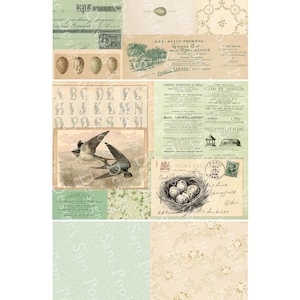May include: A collage of vintage ephemera with a nature theme. It features illustrations of birds, eggs, and nests, along with floral patterns and antique typography. The color palette includes soft greens, creams, and browns.