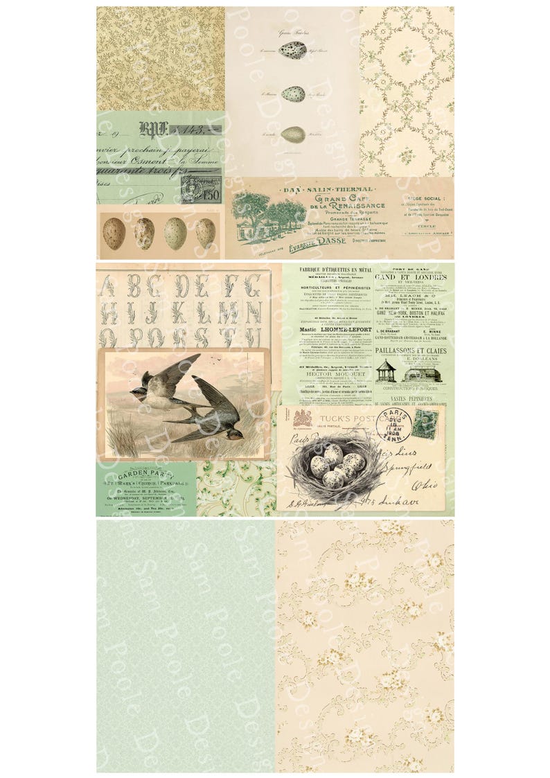 May include: A collage of vintage ephemera with a nature theme. It features illustrations of birds, eggs, and nests, along with floral patterns and antique typography. The color palette includes soft greens, creams, and browns.